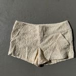 Boom boom Lace Short Size 4 Photo 1