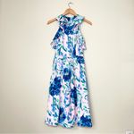 Lilly Pulitzer  Rory Dress Photo 2