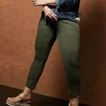 Torrid  Three Button Jeggings Skinny Jeans Olive Green 12 Photo 8