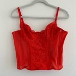 Aritzia Heartbreak Bustier Photo 2