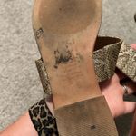 ALDO  flats size 9‎ snakeskin Photo 4