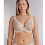 INTIMISSIMI Elena Pretty Flowers Mesh Embroidered Bra Beige 40D Size undefined Photo 7