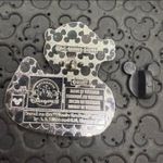 Parks 2025 Ducks of Disney Mystery box trading Pin - Tigger Photo 1