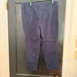 Carolina belle Navy Blue Textured Stretchy Pull on Pants  Photo 3