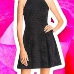 AQUA  BLOOMINGDALE’S L Polka Dot Velvet Rose-Embossed Mini Dress Photo 0