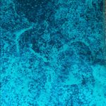 Champion Women’s  Duo Dry Athletic Leggings Photo 3