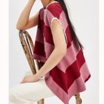 Free People #36 NWT  Walcott Sweatshirt in Pink Combo Photo 1