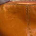 Dooney & Bourke  purse Photo 13