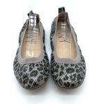 YNY Yosi New York Womens Lexington Ballet Flats Leopard Print Slip On Brown 6 Photo 1
