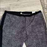 Catherines  Charcoal and Black Straight Leg Pants Photo 1