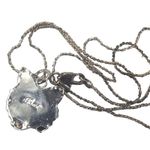 BEST fierce cat pendant silver tone necklace 18” Photo 2