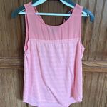 PaperMoon Top Photo 0