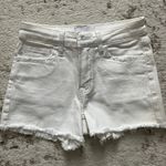 Vervet Shorts Photo 0