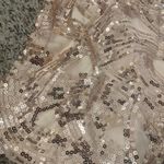 Jun & Ivy Mini Skirt Photo 1