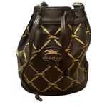 Longchamp BROWN AND TAN LEATHER DRAWSTRING BUCKET SHOULDER BAG Photo 2