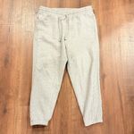 ARITZIA TNA COZY AF Boyfriend Fleece Joggers Grey size Large Gray Photo 1