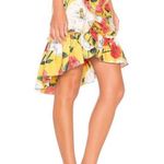 Parker NWT  Wildflower skirt Photo 5