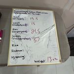 Elie Tahari  NWT Jilly Studded Sheer slit Sleeve Dress size 10 Photo 12