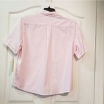 Allison Daley  Top Photo 2