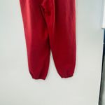 Nike NEW  Womens NikeLab Solo Swoosh Fleece Relaxed Pant Cedar Red Large Y2K Photo 14