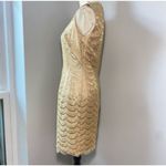 Carmen Marc Valvo Vintage Gold Lace Sheath Dress Size 10 Knee Length Formal Photo 3