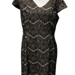 Liz Claiborne  Formal Dress Sz 14‎ Black Lace W/ Nude Short Sleeve Knee Length Photo 0