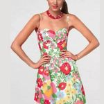 Lilly Pulitzer Georgie Dress Ants on Parade Garden Photo 13