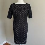 Tiana B. Beige and Black Dress Size 12 Tan Photo 4