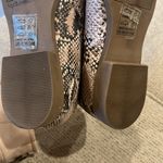 Qupid  Snakeskin Flat Photo 2