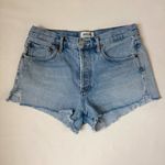 AGOLDE Parker Short Swapmeet Dark 26 Photo 1