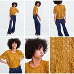 ZARA Trafaluc Lace Velvet Crop Top Mustard Gold Yellow Womens NWOT Photo 3