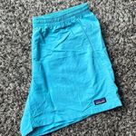 Patagonia  teal baggies shorts Photo 0