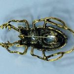 Large Beetle Bug Jewelry Pin Brooch Pendant Faceted Shades of Blue Rhinestones Photo 7