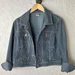 Canyon River Blues  | Striped Denim Jacket Photo 10