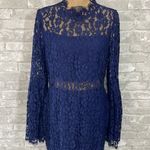 Endless Rose  Long-Sleeved Lace Midi Dress Photo 2