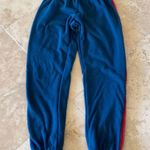 Spiritual Gangster  Blue Colored Striped Jogger Size: XS Photo 1