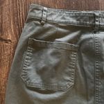 J.Crew Woman's Green Pencil Skirt with Pockets Size 8 Petite Photo 10