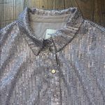 Maeve Anthropologie  Bettina Sequin Dress 1X EUC Taupe Tiered Shirt Mini Photo 3