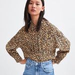ZARA Brown Leopard Print Long Sleeve Button Down XS Photo 0