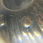 925 LAA Sterling Silver Trollbeads Sea Urchin Bead Ocean Life Retired Charm Photo 5