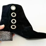 LOGO By Lori Goldstein LOGO Lori Goldstein Polly Black Suede Grommet Boot Size‎ 8.5 Funky Art to Wear Photo 1
