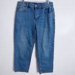 Talbots  Stovepipe Ankle Jean Kingston Wash Size 12 Petite Blue Casual Denim Photo 1