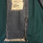 One Teaspoon Freebird Ankle Jeans Photo 3
