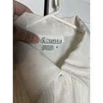 Vintage Alexandria Women’s Blouse Sz 8 Ivory Pleated Front Long‎ Sleeve White Photo 1