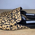 Steve Madden Rylie Mules Women's 8M Leopard Print Cow Hair Vegan Leather Slip On Photo 3