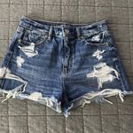 American Eagle Shorts Photo 0