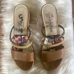 Brighton Brown and Black Sandals Photo 0