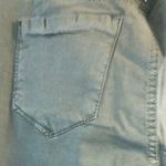 Celebrity Pink NWT  Size 13 Green Pants Photo 3