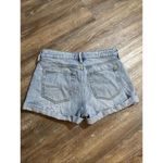 PacSun Light Wash Boho Equestrian Western Cactus Floral Denim Cutoff Shorts 24 Photo 11