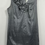 Womans Periwinkle Sleevless Knee Length Dressy Dress 16 W Gray Back Zip V Neck Size 16W Photo 0